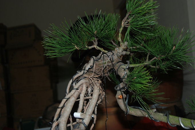 DSC_0557.JPG