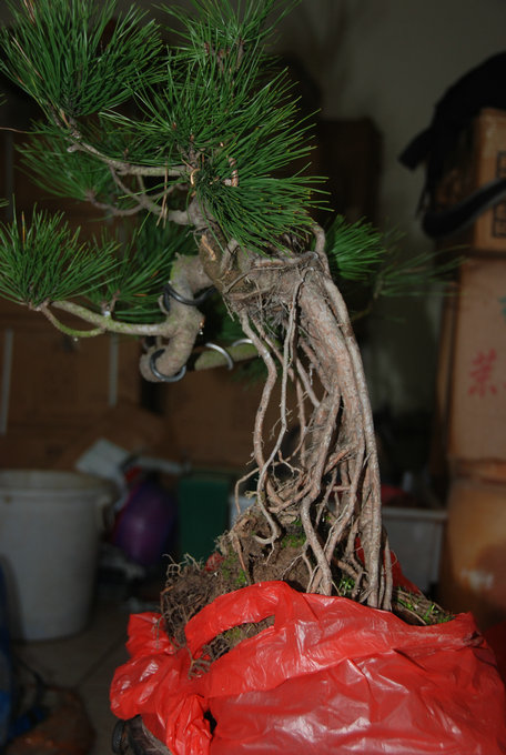 DSC_0545.JPG