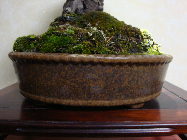 DSC07995.JPG
