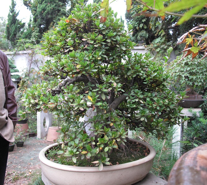 IMG_0119.JPG