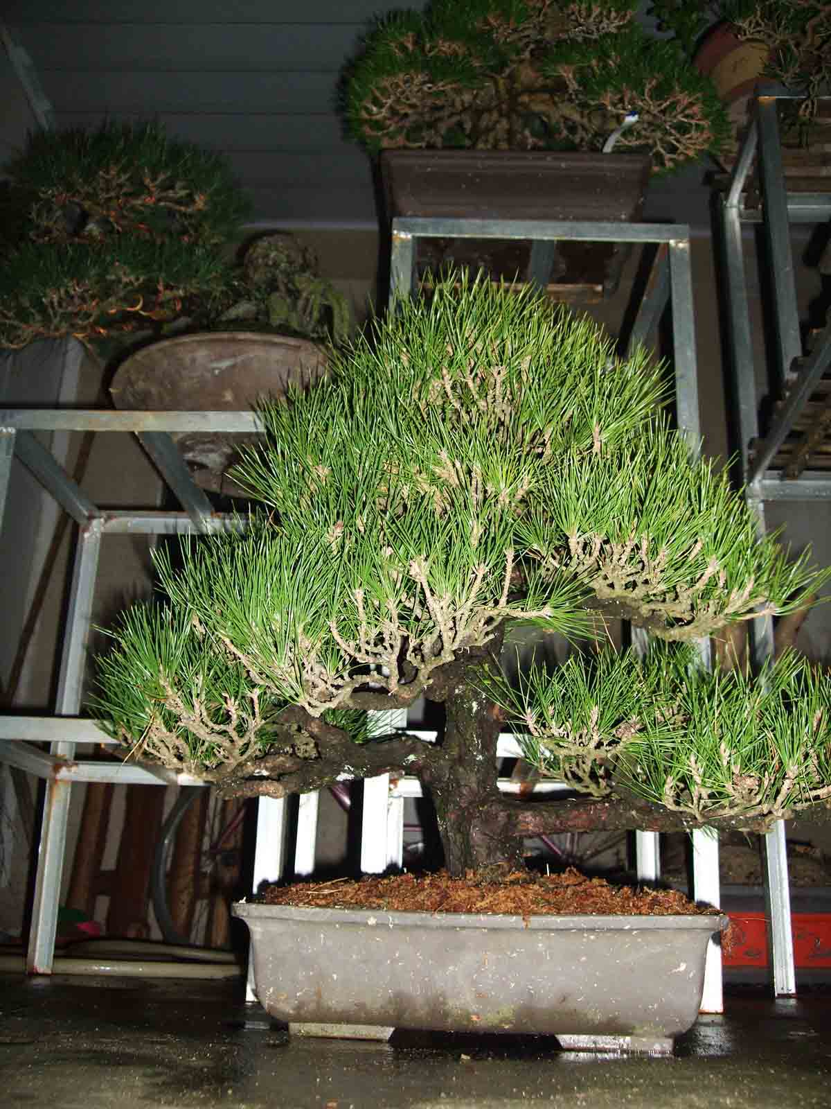DSCF1454.jpg