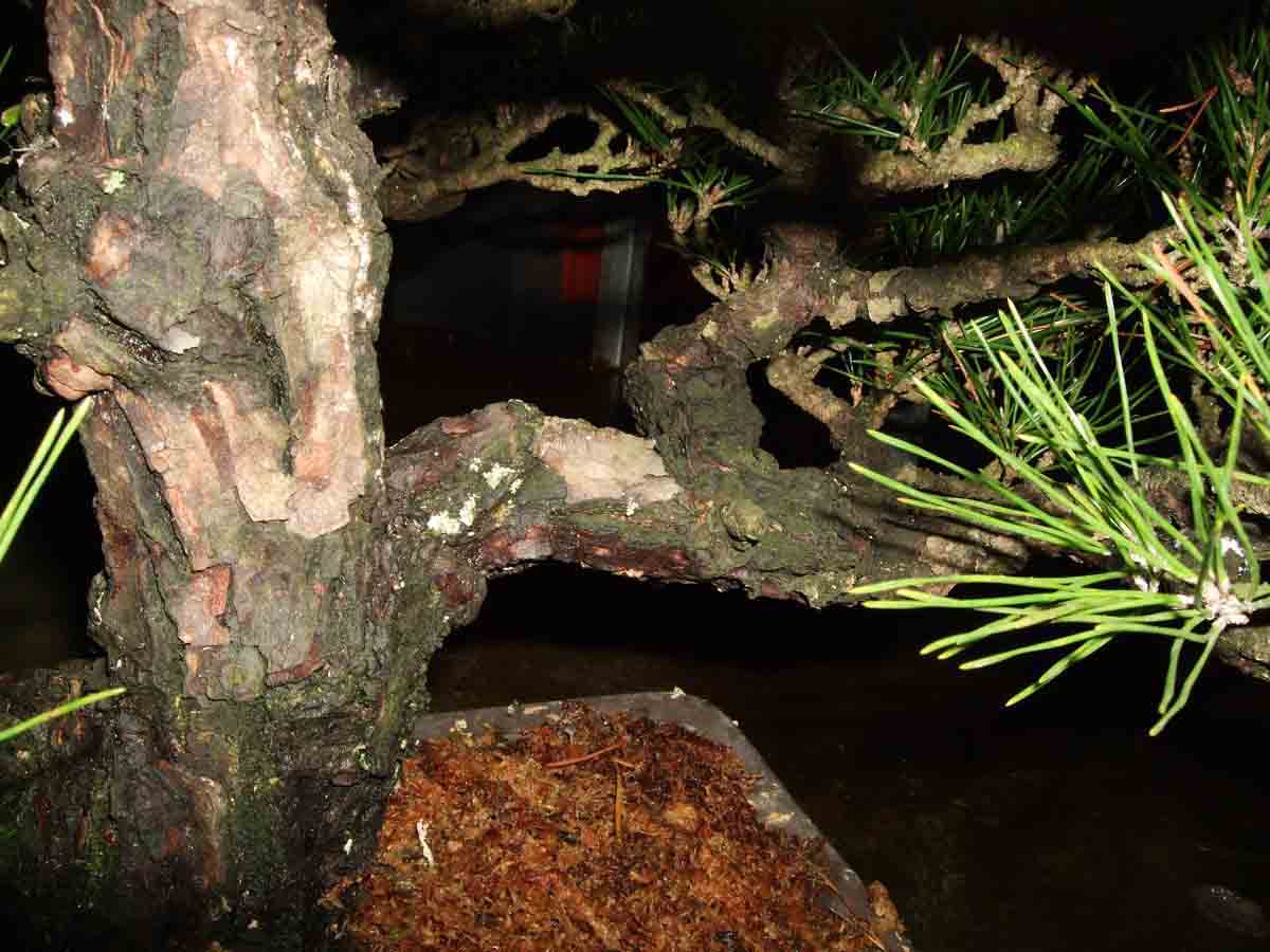 DSCF1455.jpg