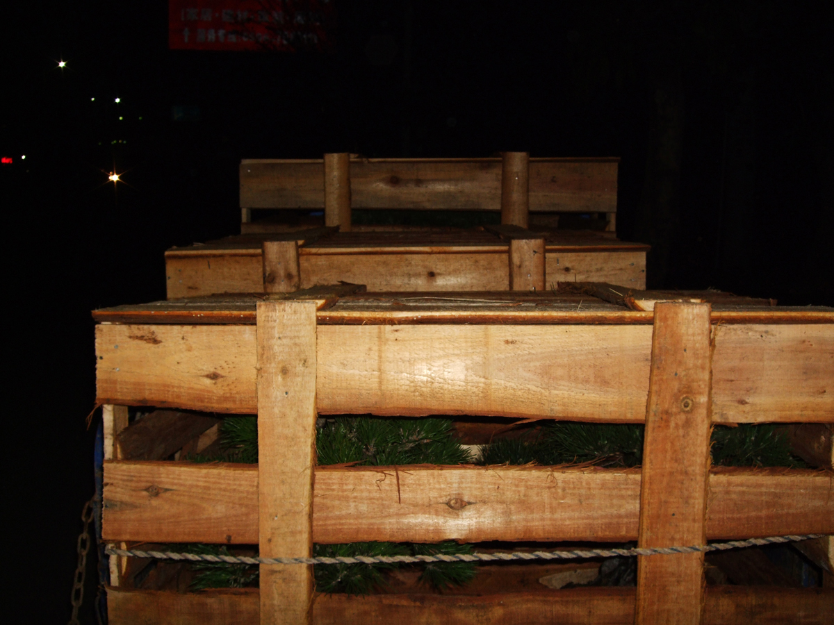 DSCF1427.jpg