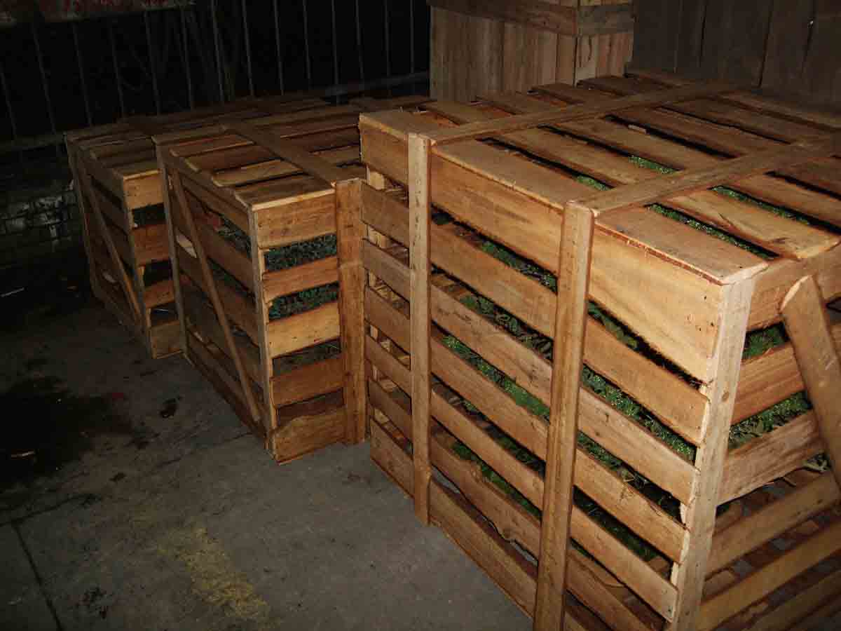 DSCF1428.jpg