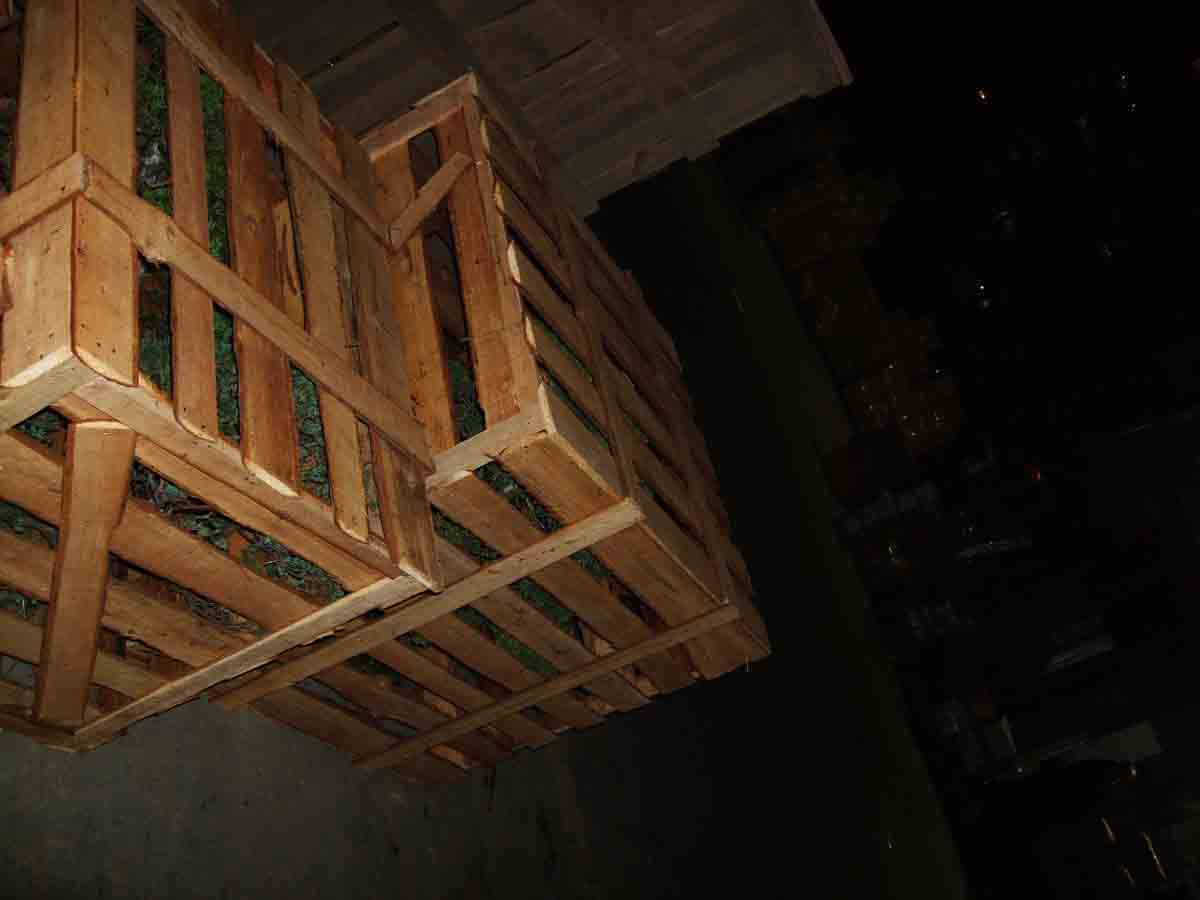 DSCF1429.jpg