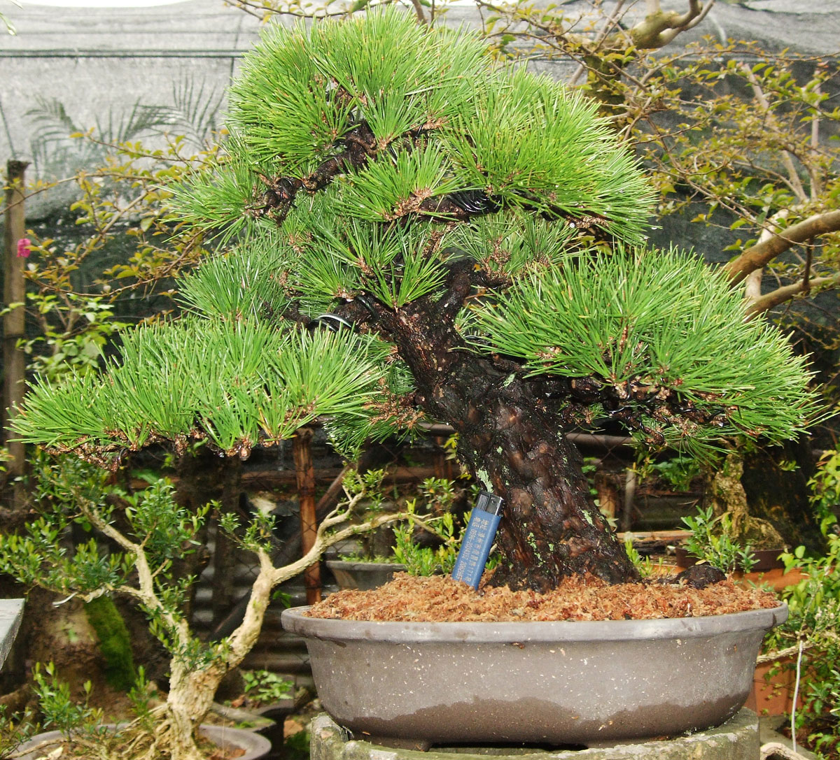 DSCF1390.jpg