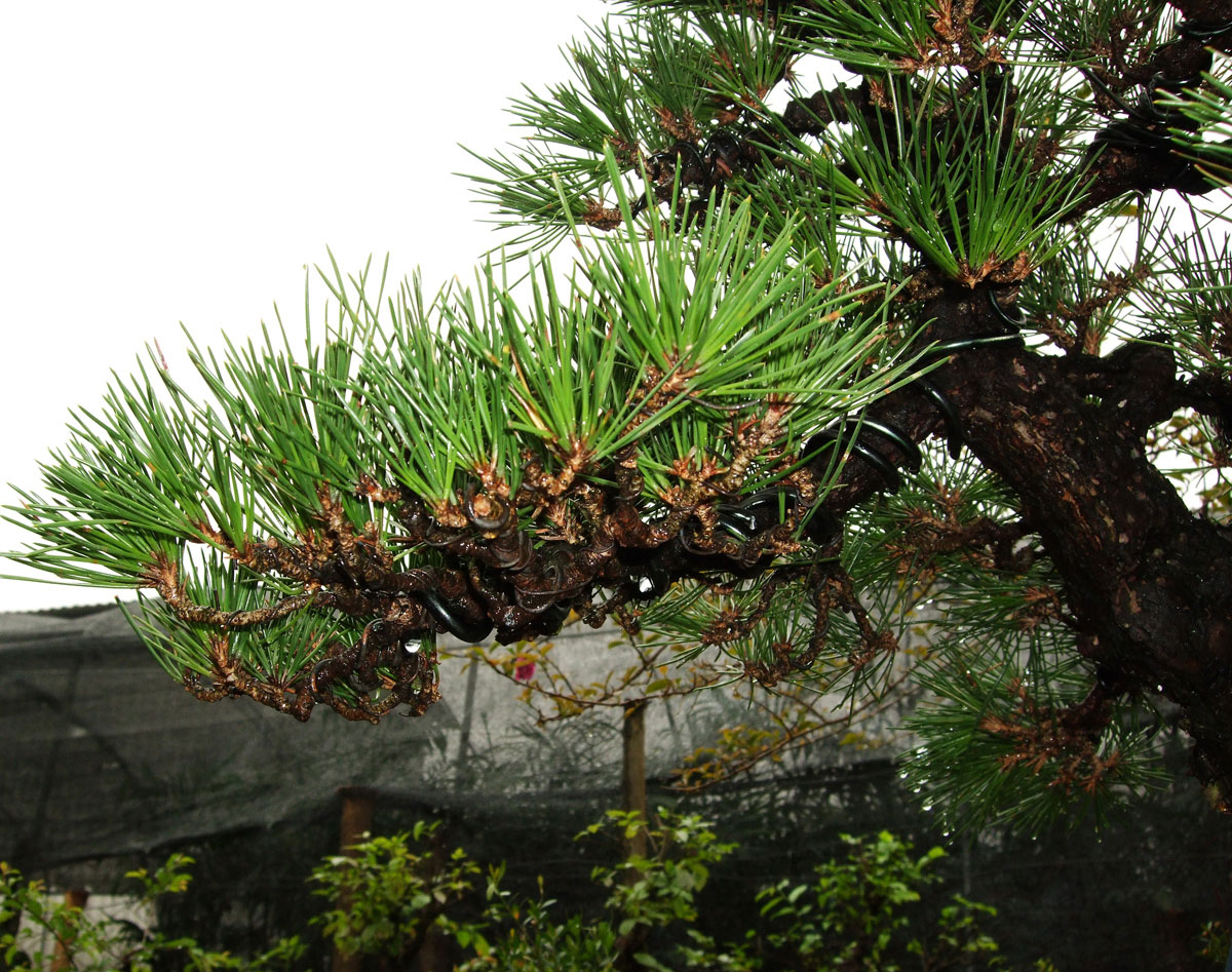DSCF1392.jpg