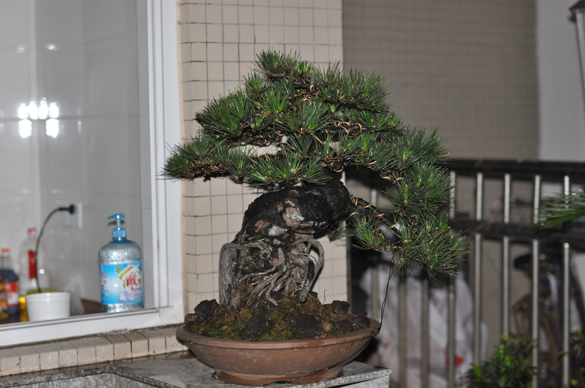 DSC_0704.jpg