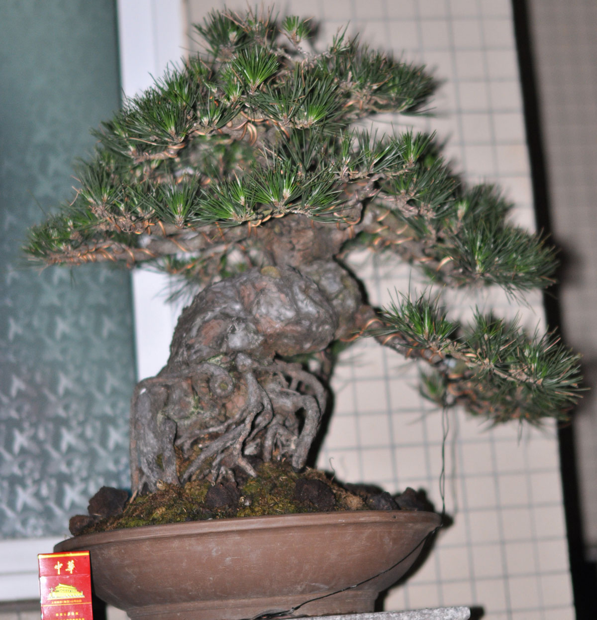 DSC_0580.jpg