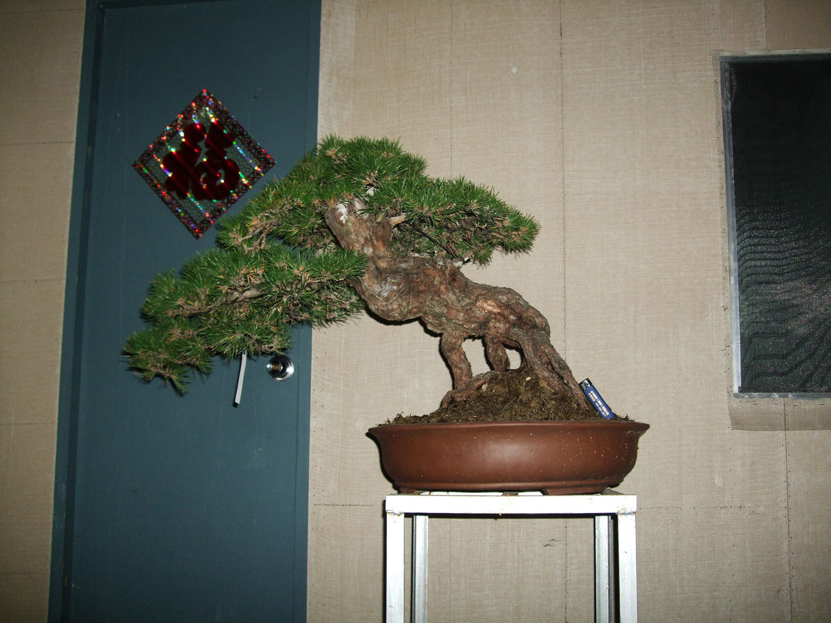 DSCF2106.jpg