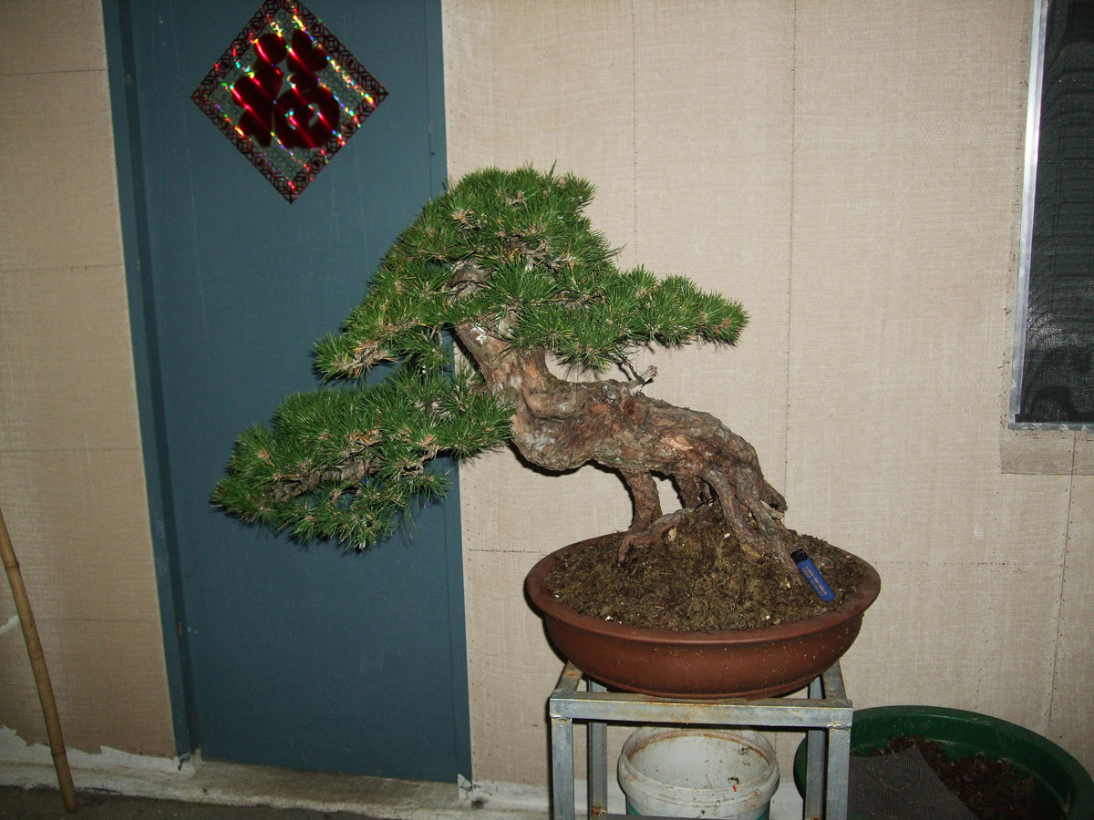 DSCF2107.jpg