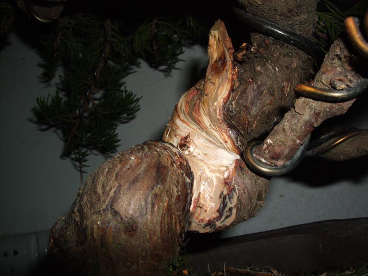 DSCF1369.jpg