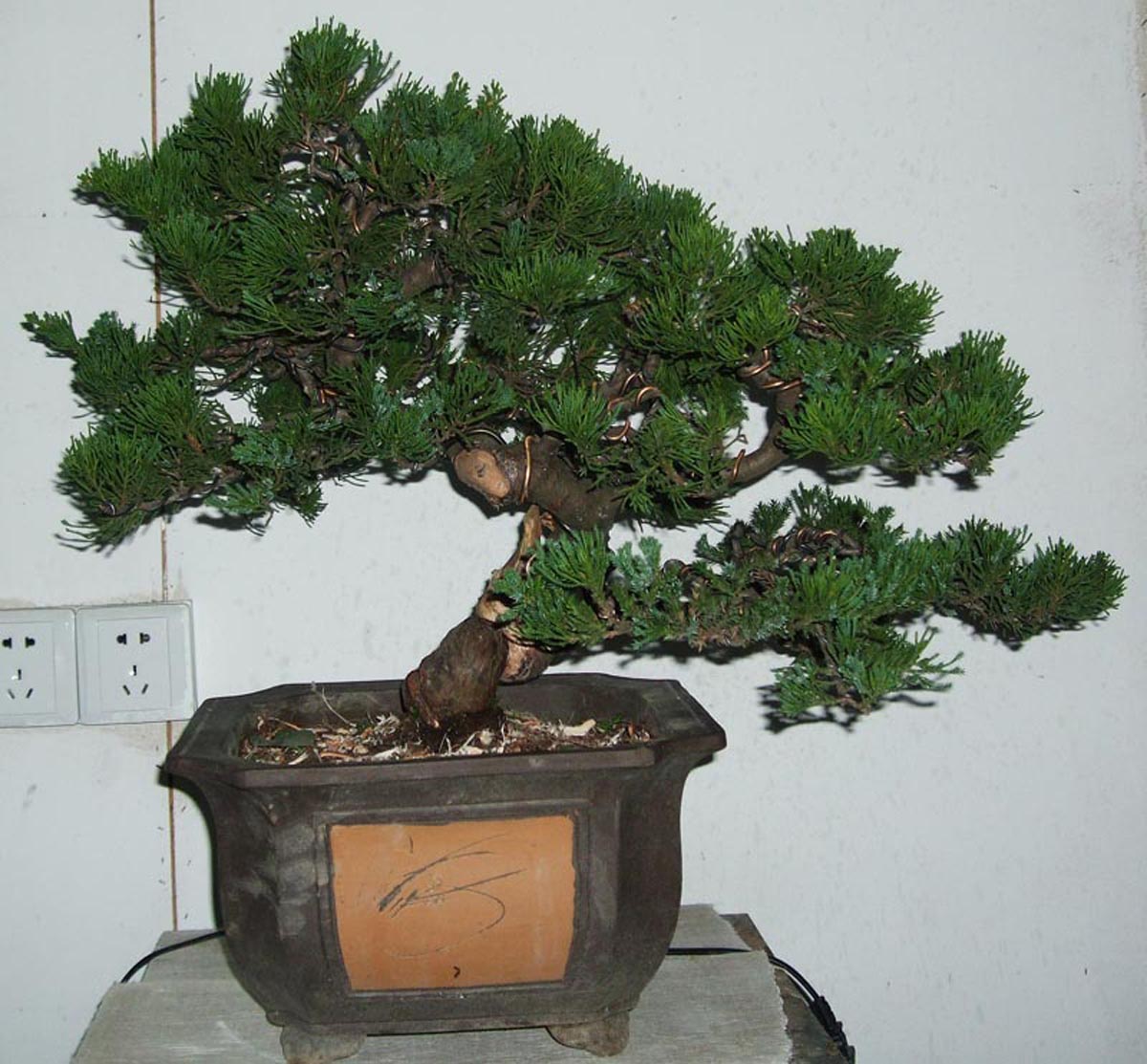 DSCF1372.jpg