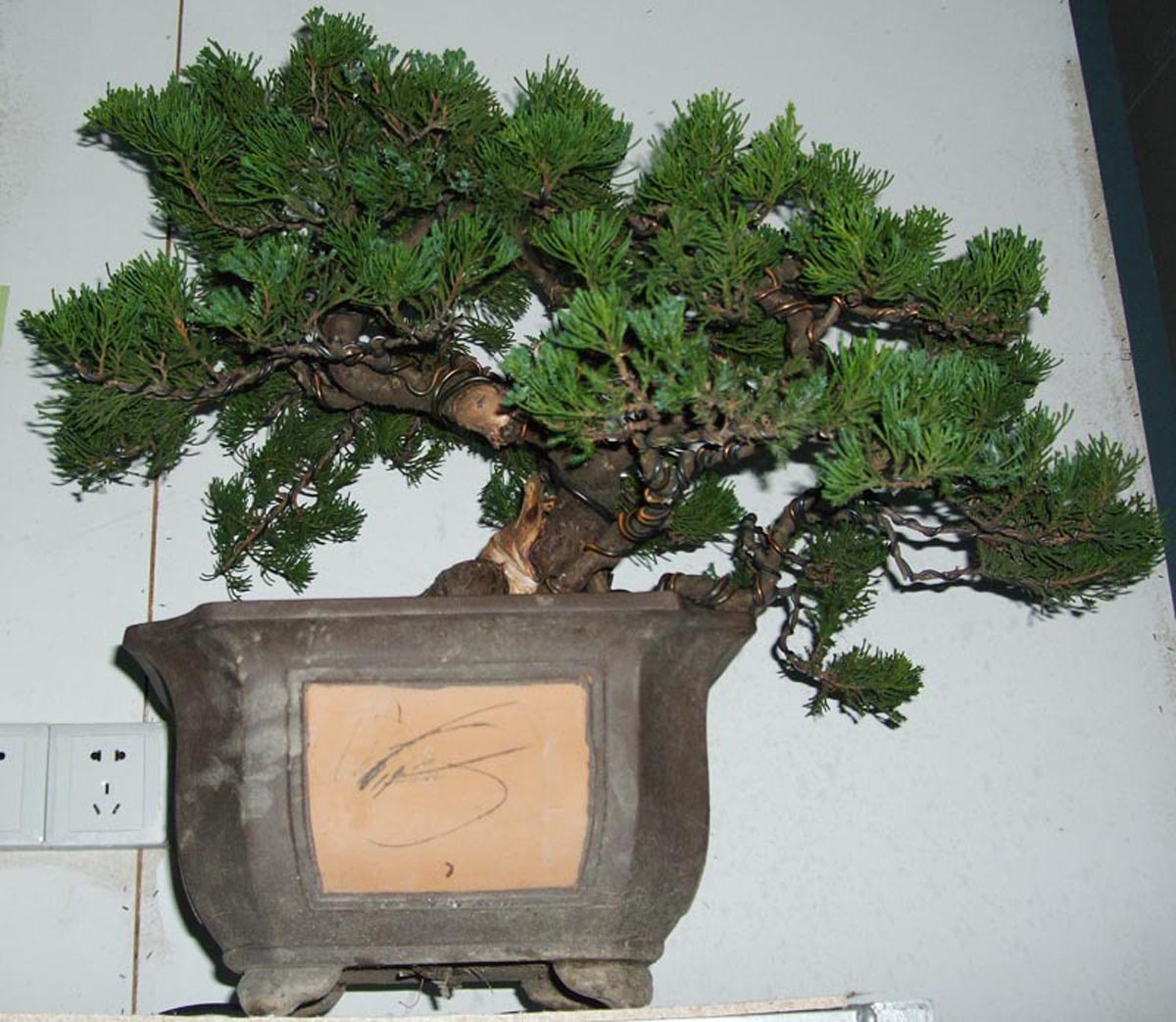 DSCF1375.jpg