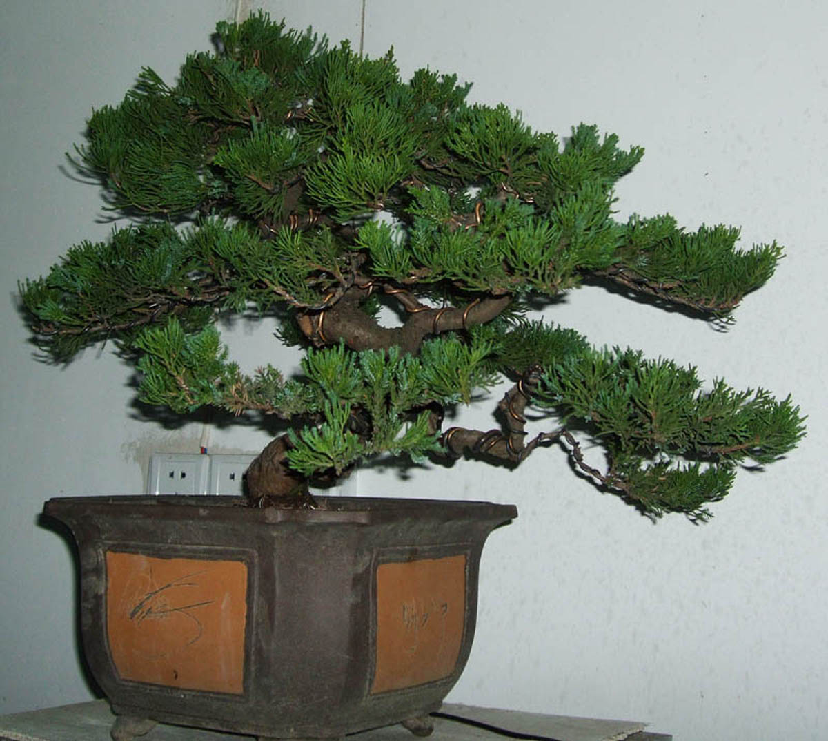 DSCF1376.jpg