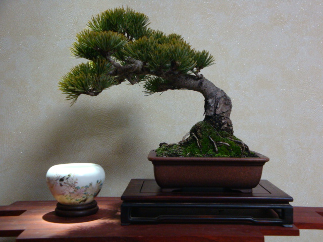 DSC08043.JPG