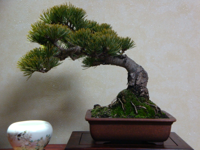 DSC08044.JPG