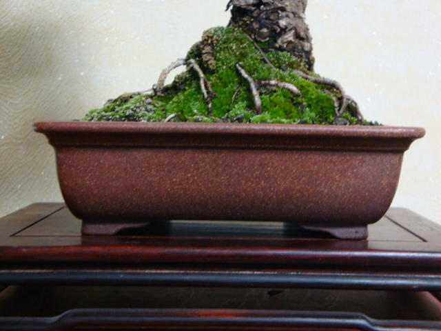 DSC08047.JPG