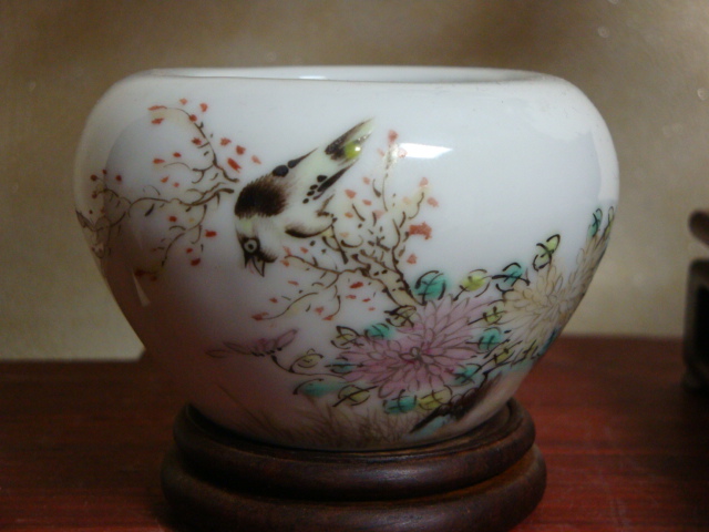 DSC08048.JPG