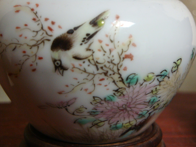 DSC08049.JPG