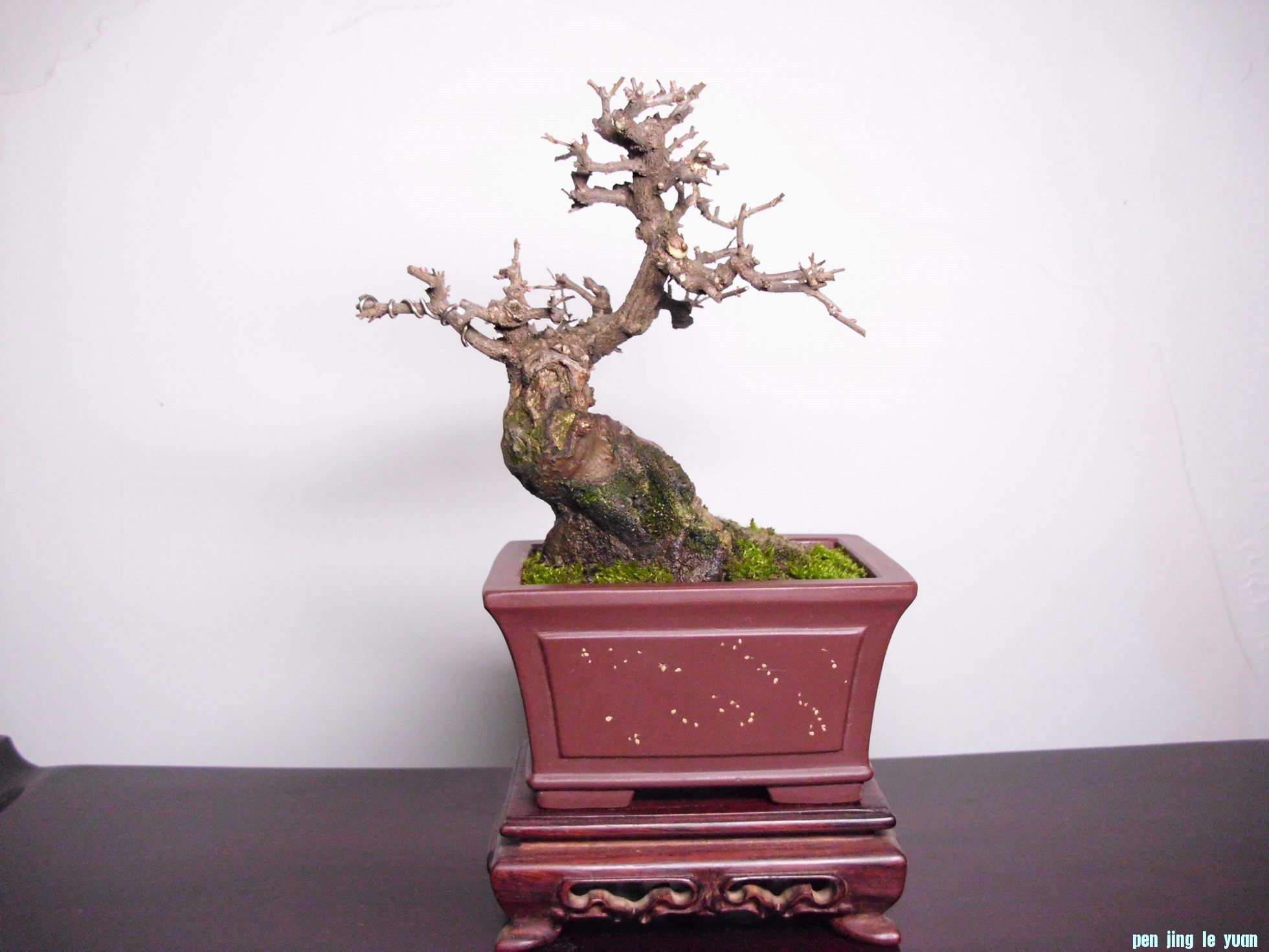 DSCI1381.JPG