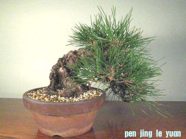 20070801224919.jpg