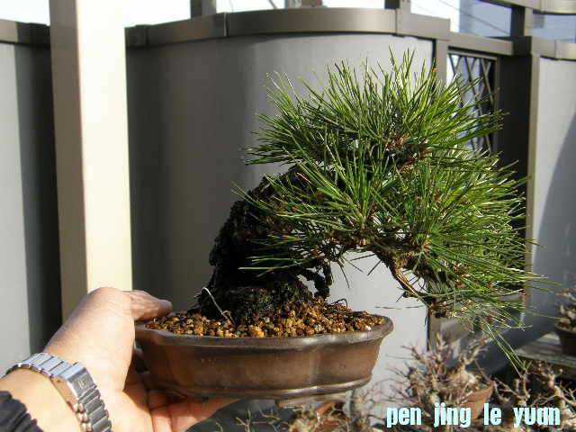 20080302171212.jpg