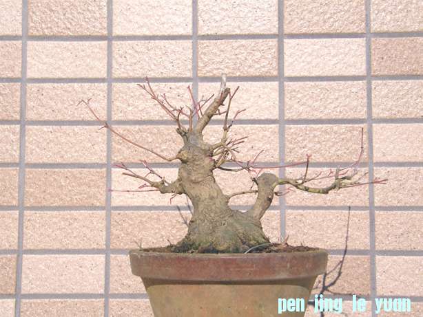 20101207221938af0.jpg