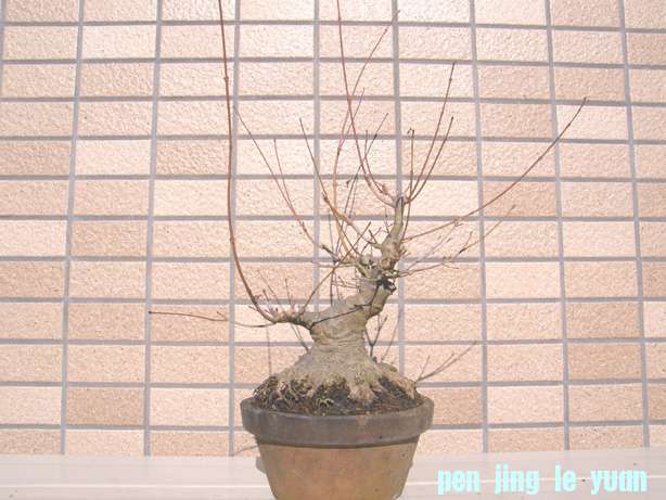 20101211220055eb0.jpg