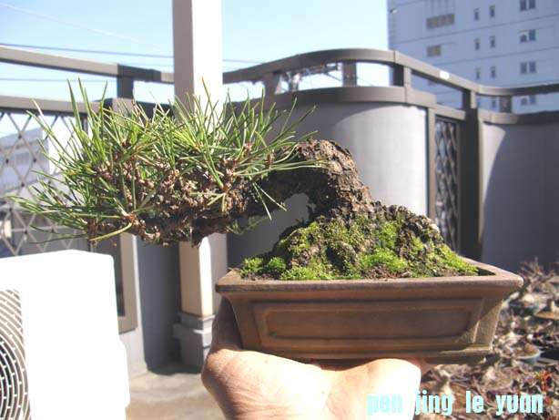 20110313192417c10.jpg