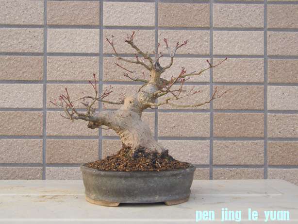 20110506220116fde.jpg