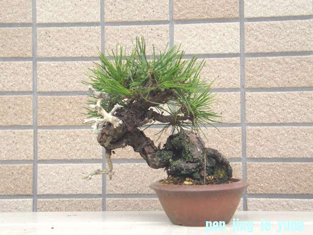 20110720203205d3d.jpg
