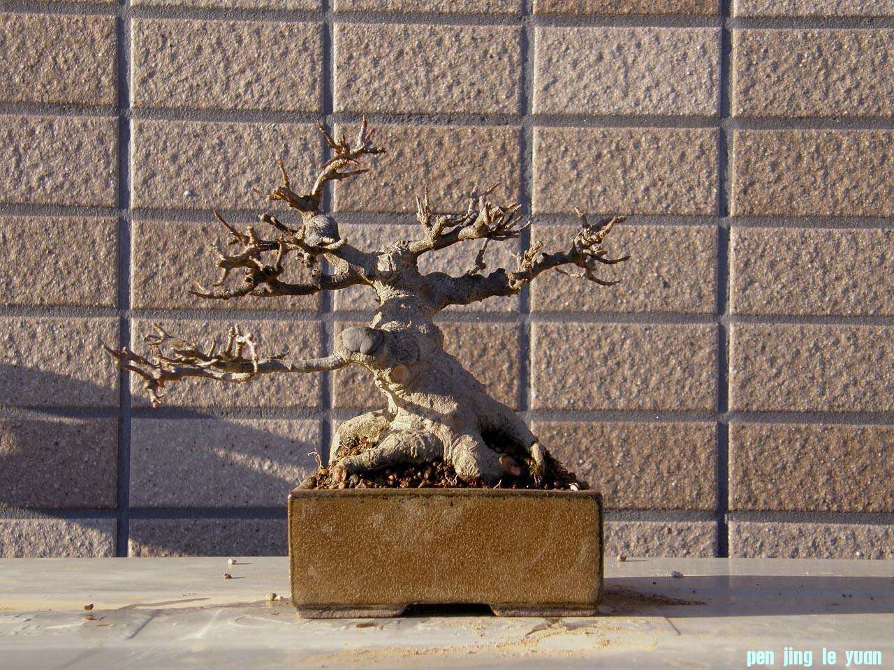 20120214203611c44.jpg