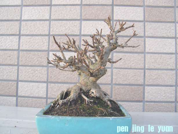 201011252223013af.jpg