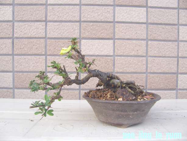 201012292201294bc.jpg