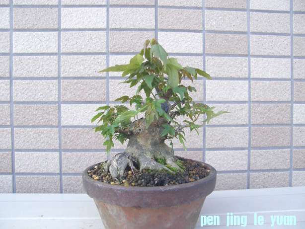 201106302136094f0.jpg