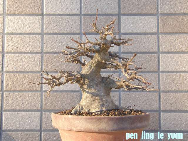201201112150454b8.jpg