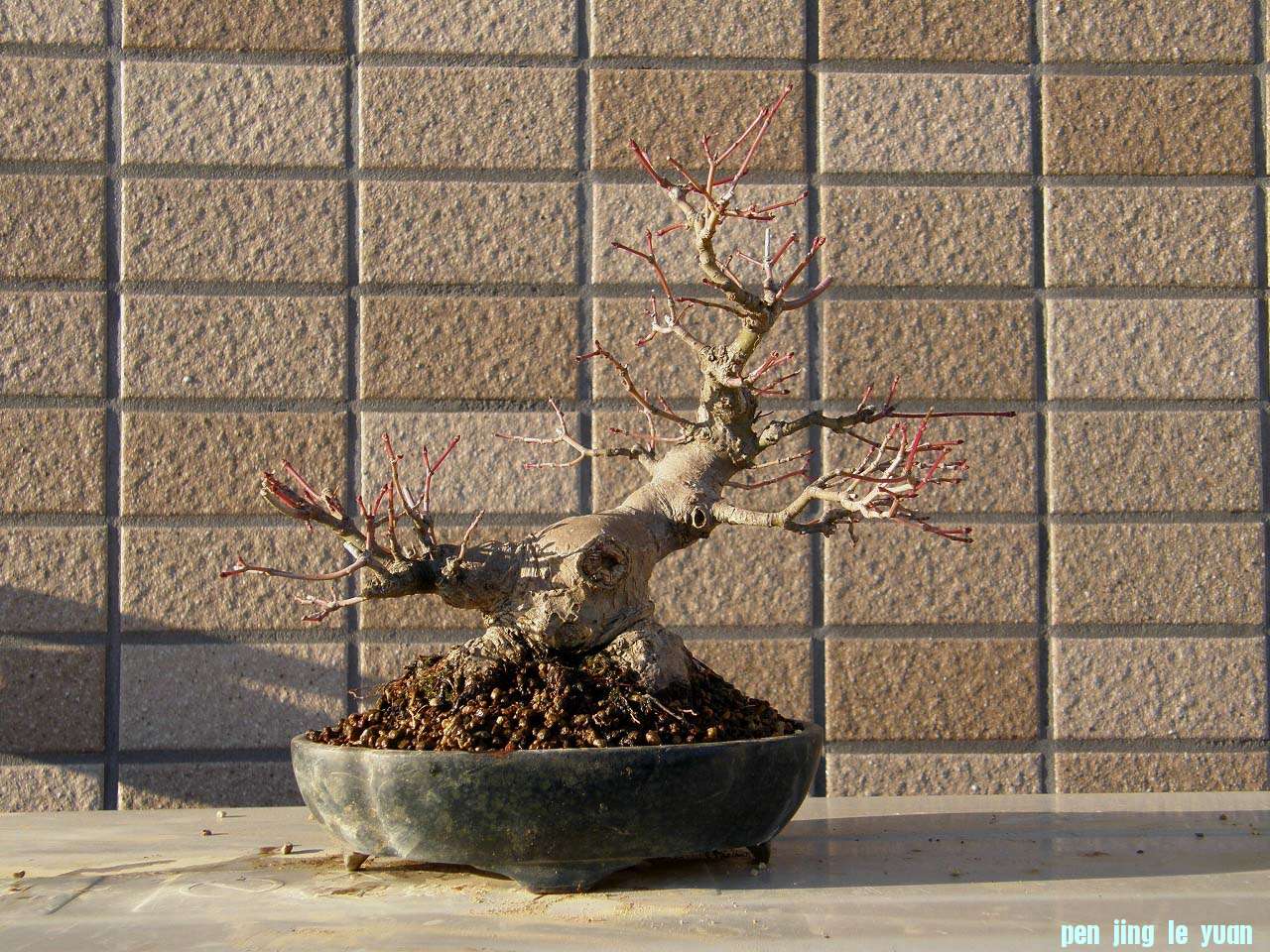 201202172030263cd.jpg