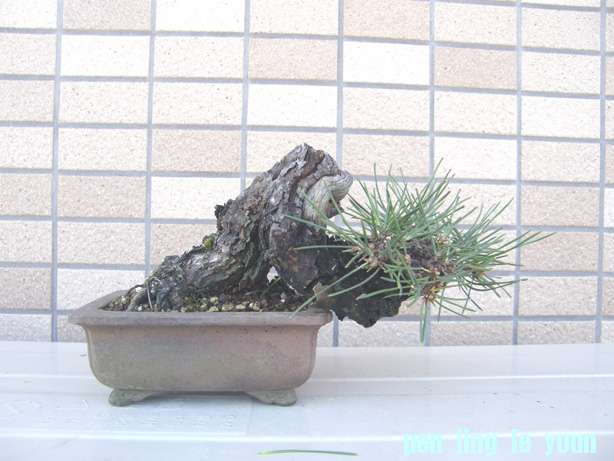 2011071821072324c.jpg