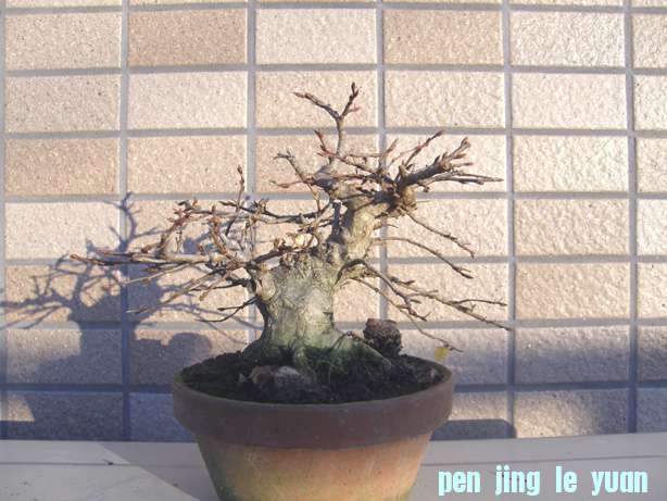 2011111820512926b.jpg