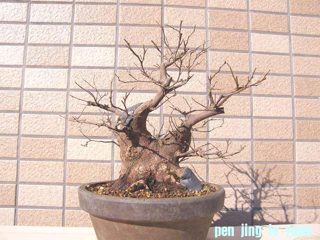 20120130204438583.jpg