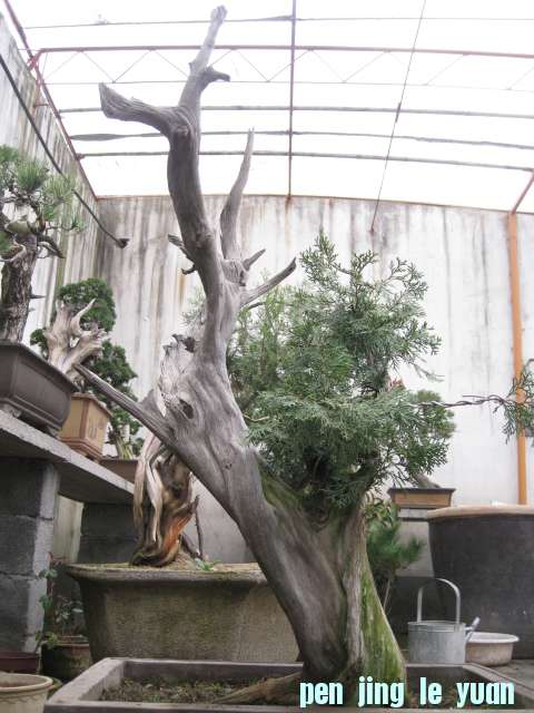 IMG_4479.JPG
