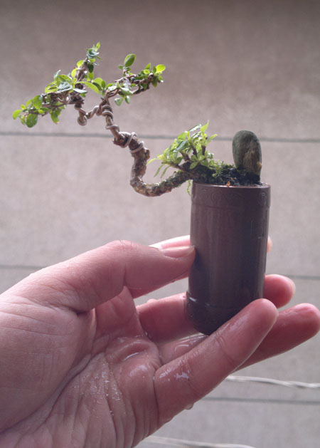 20120306621.jpg