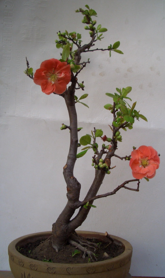 Ĵ˫11328.JPG