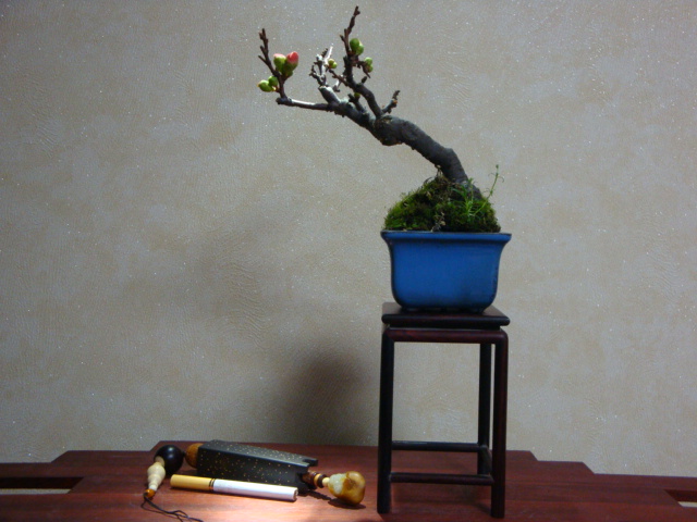 DSC08077.JPG