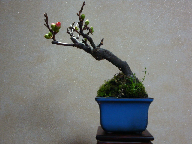DSC08078.JPG