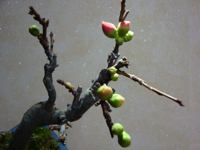 DSC08081.JPG