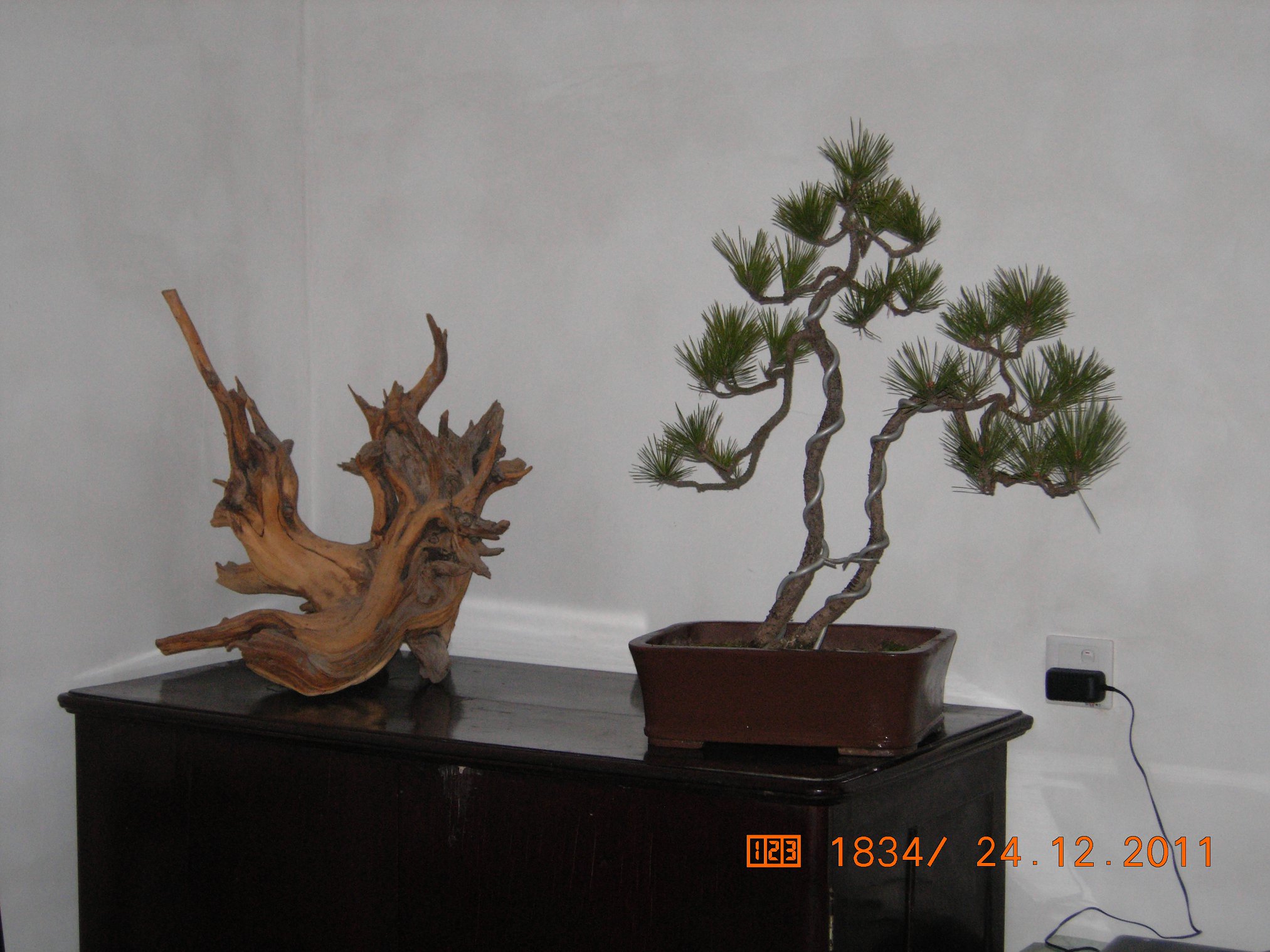 DSCN4878.JPG