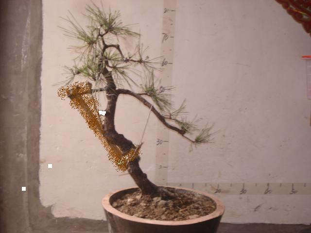 DSC00005.JPG