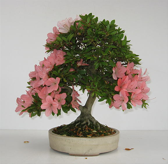 image39.jpg